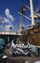 SOUTH AFRICA, Western Cape, Cape Town, Transferring shipment of frozen tuna fish for overseas