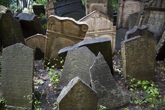 CZECH REPUBLIC, Bohemia, Prague, Densely packed gravestones in the Jewish Cemetary