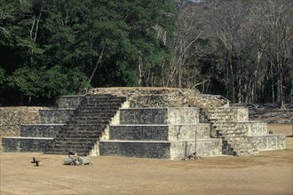 HONDURAS, Copan, Step Pyramid in the Great Plaza of Mayan ruins in the Western Highlands.