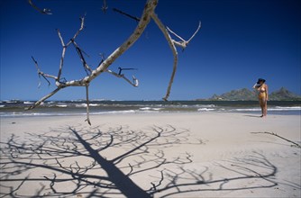 MADAGASCAR, Fort Dauphin, Lokaro, The leafless branches of a tree casting skeletal shadows on the