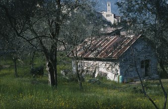 ITALY, Veneto, Bogliaco, Smallholding in village on the west bank of Lake Garda in Spring with
