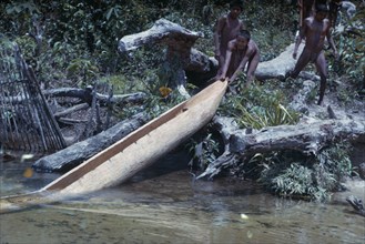 COLOMBIA, Vaupes Region, Tukano Tribe, Boys bring a newly hewn and shaped canoe out of the forest