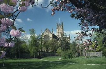 ENGLAND, Warwickshire, Warwick , St Marys Church seen from college garden framed by cherry blossom
