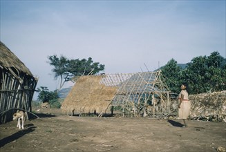 COLOMBIA, Sierra de Perija, Yuko - Motilon, Woman walks towards large dwelling house with roof