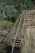 COLOMBIA, Sierra de Perija, Yuko - Motilon, Gable end of a dwelling being thatched with long grass.