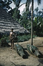 COLOMBIA, Vaupes Region, Tukano Tribe, Man carrying dried “yarumo” leaves for coca process. Bundles