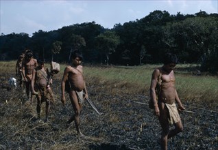 COLOMBIA, Llanos Plains, Agua Clara, Cuiva: First Contact  a family move away from their camp on