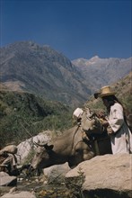 COLOMBIA, Sierra Nevada de Santa Marta, Kogi Tribe, Boy transports equipment into Sierra Nevada by