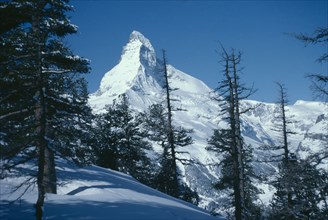 SWITZERLAND, Swiss Alps, Snow covered peak of the Matterhorn with pine trees in the foreground.