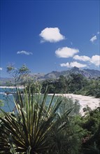 MADAGASCAR, Fort Dauphin, Libanona Beach with view across plants and vegetation towards sandy
