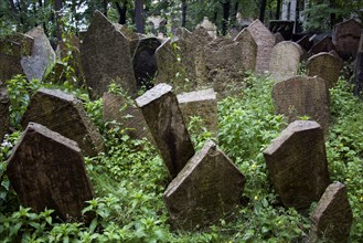 CZECH REPUBLIC, Bohemia, Prague, Densely packed gravestones in the Old Jewish Cemetary