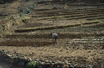 ERITREA, Keren Province, Man tilling soil by hand on small irrigated farm.