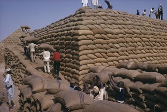 NIGERIA, Kano, Workers building pyramid of sacks of ground nuts.