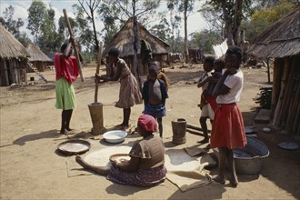 ZIMBABWE, Kwadeza, Women members of village co-operative pounding maize watched by children.