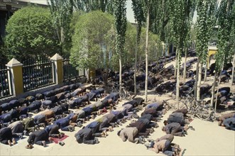 CHINA, Kashgar, Juma or Friday prayers at Idkah Mosque.  Congregational prayers held each Friday