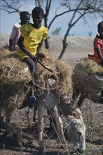 HAITI, People, Children, Girls riding donkeys carrying straw