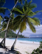 SEYCHELLES, Mahe, View through palm trees towards sandy beach and  turquoise sea with a woman