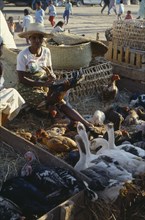 MADAGASCAR, Antanananrivo, "Zoma livestock market with a woman vendor wearing a straw hat sitting