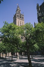 SPAIN, Andalucia, Seville, La Giralda Cathedral minaret seen from Patio De Los Naranjos in the