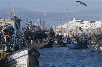 MOROCCO, Essaouira, Seagulls circling above fishing boats beside quay in fortified harbour.