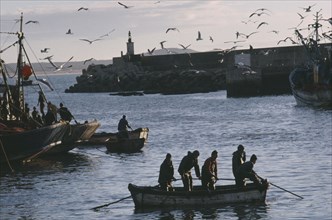 MOROCCO, Essaouira, Seagulls circling above fishing boats in fortified harbour.