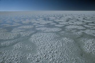 BOLIVIA, Altiplano, Salar de Uyuni, Salt plains in year of heavy rain.