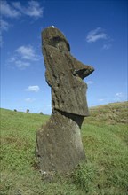 PACIFIC ISLANDS, Easter Island, Rano Raraku Crater. Large Monolith Moai head statue on the slopes