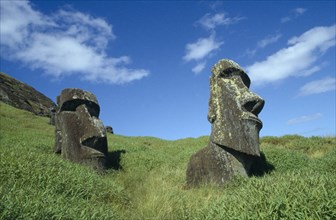 PACIFIC ISLANDS, Easter Island, Rano Raraku Crater. Moai Statues abandonned in transit on the