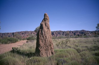 AUSTRALIA, Western ,  Kimberley, Purnululu or Bungle Bungle. Termite Mound