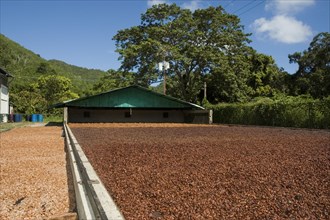 VENEZUELA, Rio de Caribe, Cacao drying facility with moveable roof in background.