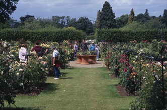 ENGLAND, Surrey, Woking, Wisley Royal Horticultural Society Garden. The Rose Garden