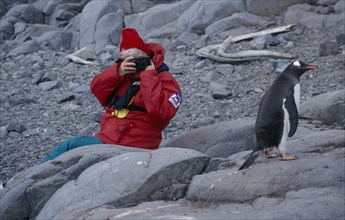 ANTARCTICA, Peninsula Region, Goudier Island, Port Lockroy. Tourist photographing Gentoo Penguin