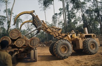 IVORY COAST, Industry, Logging, Timber induLoading felled timber in cleared area of forest.