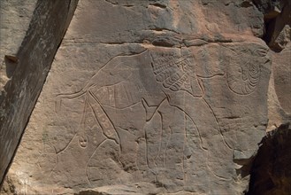 LIBYA, Wadi Mathendous, Detail of prehistoric rock relief depicting elephant.
