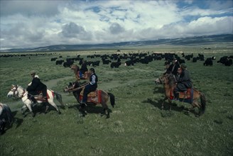 TIBET, People, Nomadic herders on horseback with yak and sheep herds on the high grasslands.