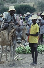 HAITI, Children, Market scene with two young boys with donkey carrying basket panniers.