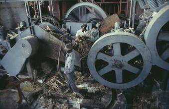 GUADELOUPE, Industry, Workers in rum distillery interior.