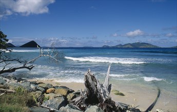 BRITISH VIRGIN ISLANDS, Tortola, Driftwood and rocks on shore of sandy beach with breaking surf.