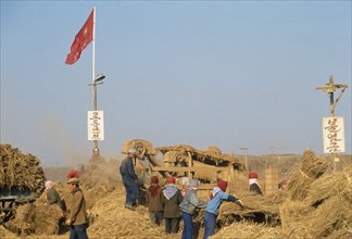 NORTH KOREA, North Hwanghhae Province, UNPA County, People threshing paddy crop. Red Communist Flag