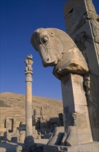 IRAN, Fars Province, Persepolis, Bulls Head statue over doorway