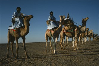 WESTERN SAHARA, SADR, Sahrawi Arab Democratic Republic.  Line of Sahrawi camel riders.