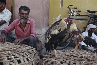INDIA, Karnataka, Mysore, Man selling cockerels on side street.