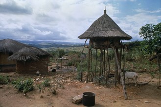 MALAWI, Lumbe, EDETA village income generation group.  Circular thatched chicken house raised on