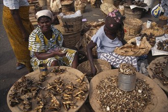 GHANA, Accra, Women selling dried fish at market.