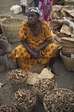 GHANA, Accra, Female vendor with baskets of dried fish for sale at market.