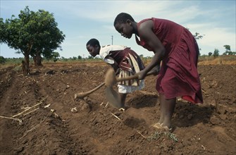 MALAWI, Farming, Girls working in fields near Lilongwe.  The soil is very dry due to the lateness