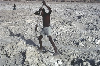 CHAD, Farming, Boy cultivating grey coloured earth