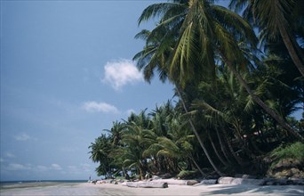 GABON, Landscape, Cap Esterias. Sandy beach lined with palm trees