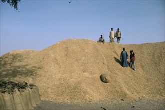 GAMBIA, People, Children, Children on top of groundnut heap