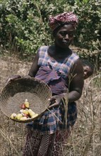 GAMBIA, People, Women, Woman with baby on back holding basket of  cashew fruit with nut